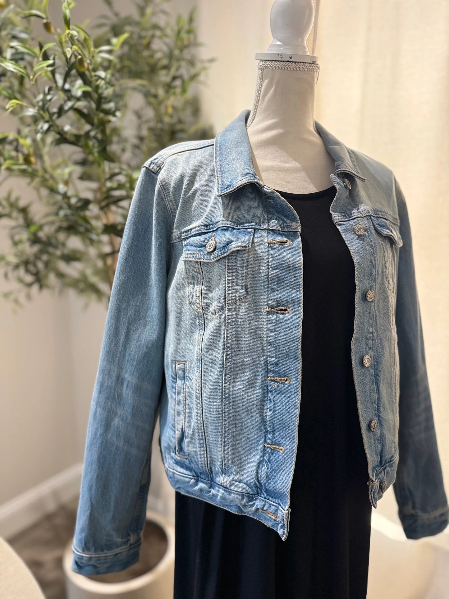 ZunnarSitty Denim Zunnar Sitty